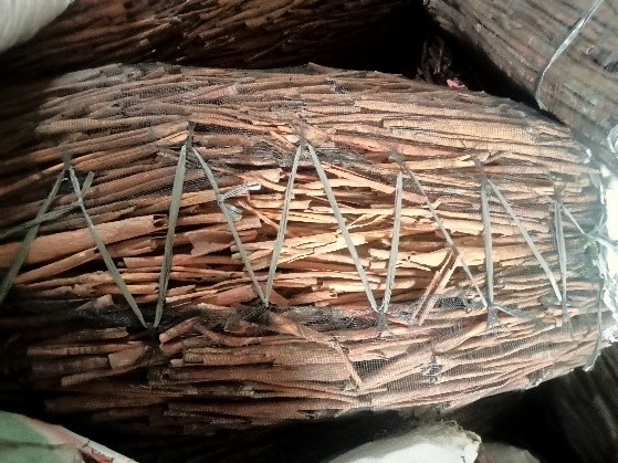 Cinnamon - 1