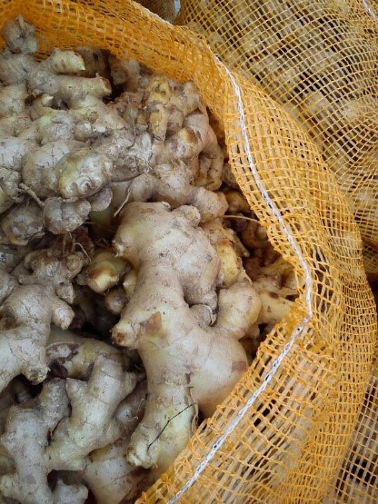 Fresh Ginger and Powder - 1