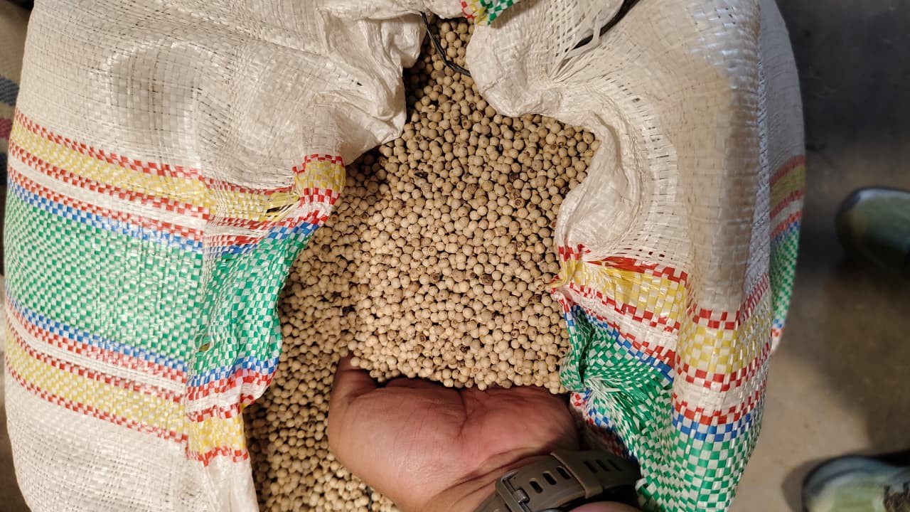 White Pepper Grade A - 1