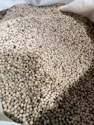 White Pepper Grade A - 2